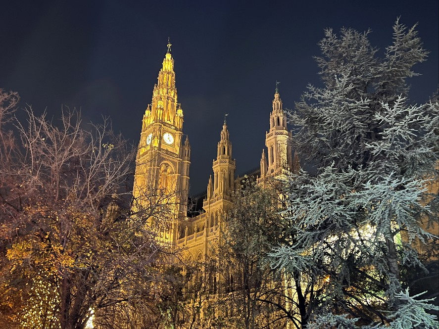 Den Store Julemarkedsturen